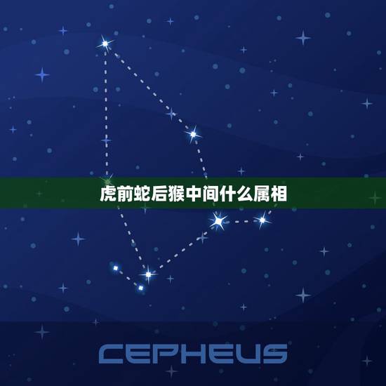 虎前蛇后猴中间什么属相,猴前虎后是什么生肖 虎前蛇后猴中间什么属相,猴前虎后是什么生肖