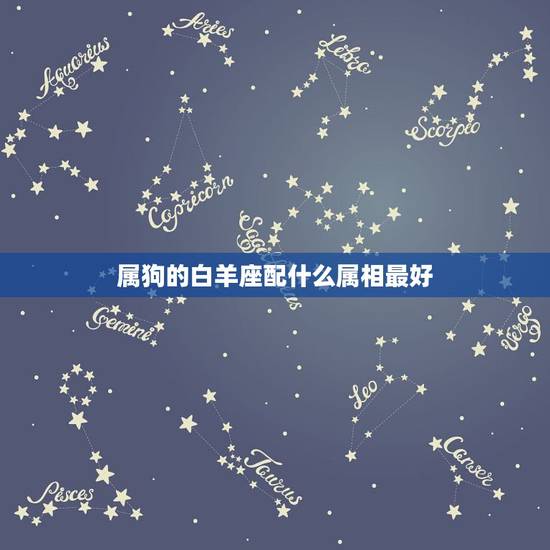 属狗的白羊座配什么属相最好，属狗的白羊和什么配