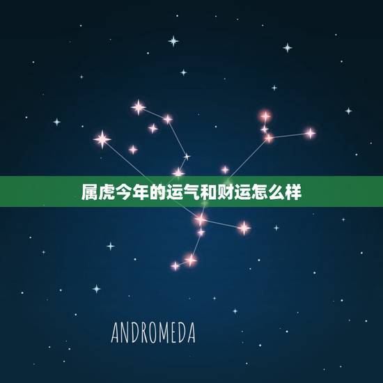 属虎今年的运气和财运怎么样,86属虎一生有几次婚姻 属虎今年的运气和财运怎么样,86属虎一生有几次婚姻
