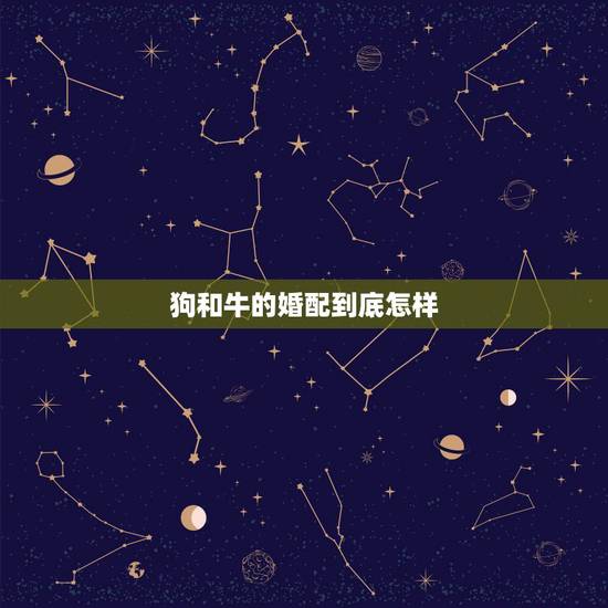 狗和牛的婚配到底怎样,男属狗女属牛能婚配吗 狗和牛的婚配到底怎样,男属狗女属牛能婚配吗
