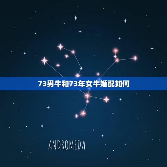 73男牛和73年女牛婚配如何,猪和牛相配婚姻如何 73男牛和73年女牛婚配如何,猪和牛相配婚姻如何