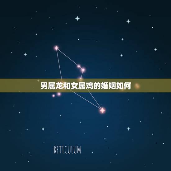 男属龙和女属鸡的婚姻如何,88年属龙34岁有一劫2022 男属龙和女属鸡的婚姻如何,88年属龙34岁有一劫2022