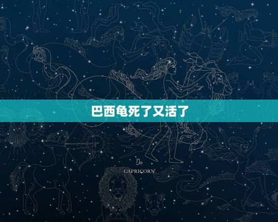 巴西龟死了又活了，巴西龟死了，状态是怎样？