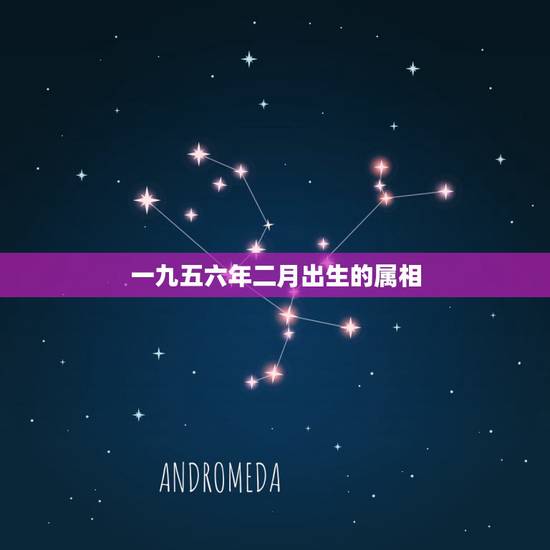 一九五六年二月出生的属相,一九五六年属什么 一九五六年二月出生的属相,一九五六年属什么