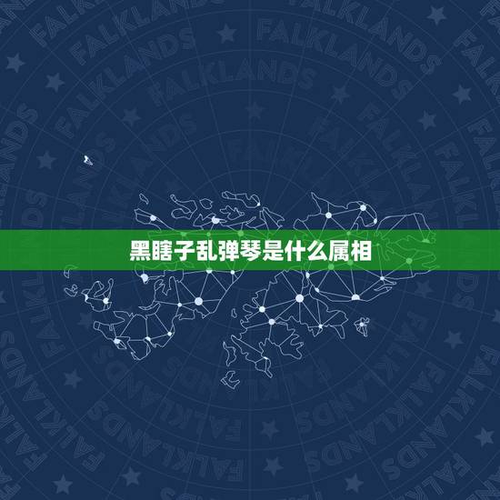 黑瞎子乱弹琴是什么属相，媚眼做给瞎子看不领情是什么生肖