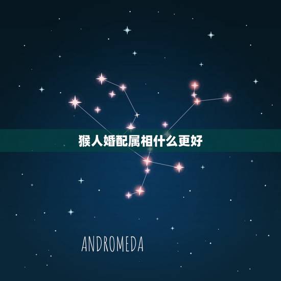 猴人婚配属相什么更好,属相是猴的人今年多大 猴人婚配属相什么更好,属相是猴的人今年多大