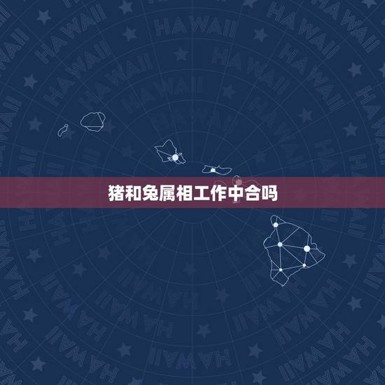 猪和兔属相工作中合吗，属猪和属兔的合财吗