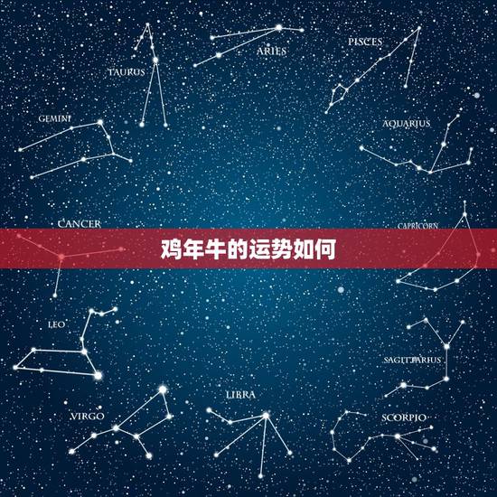 鸡年牛的运势如何,今年属牛的运势怎么样? 鸡年牛的运势如何,今年属牛的运势怎么样?
