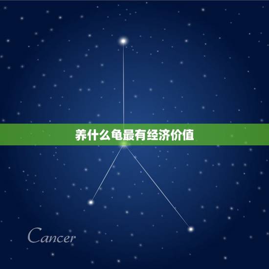 养什么龟最有经济价值，哪些龟最有经济价值 养大了会增值