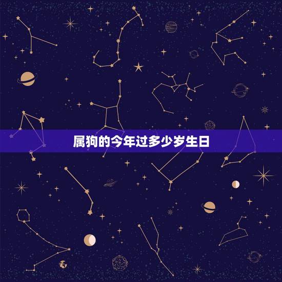 属狗的今年过多少岁生日，属狗的今年几岁对照表