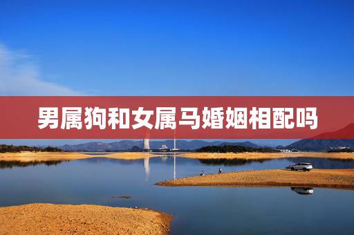男属狗和女属马婚姻相配吗，属狗男配属马女好不好
