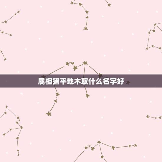 属相猪平地木取什么名字好，用属相猪做微信名，最好三到四个字