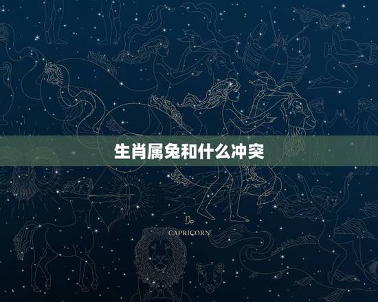 生肖属兔和什么冲突，属兔跟什么属相相合