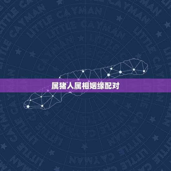 属猪人属相姻缘配对,生肖猪的爱情婚姻配对 属猪人属相姻缘配对,生肖猪的爱情婚姻配对
