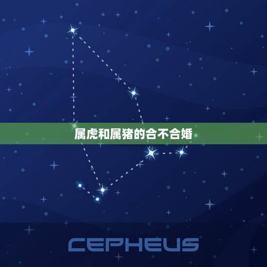 属虎和属猪的合不合婚,男猪女虎是上等婚姻么 属虎和属猪的合不合婚,男猪女虎是上等婚姻么