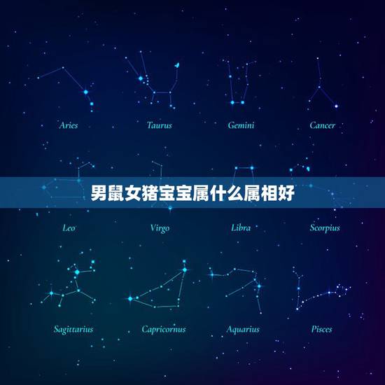 男鼠女猪宝宝属什么属相好,男鼠女兔生什么属相的宝宝最好?龙宝宝好吗 男鼠女猪宝宝属什么属相好,男鼠女兔生什么属相的宝宝最好?龙宝宝好吗