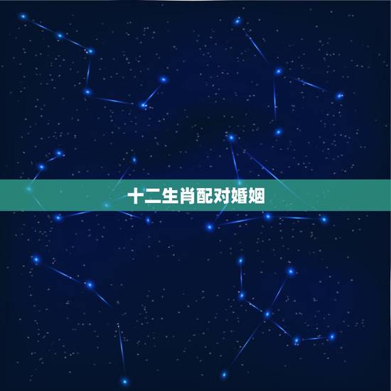 十二生肖配对婚姻，十二生肖姻缘配对？