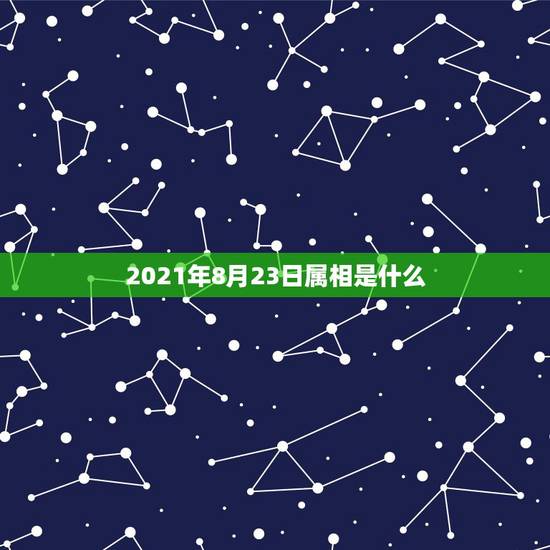 2021年8月23日属相是什么,2021年今天属什么生肖? 2021年8月23日属相是什么,2021年今天属什么生肖?