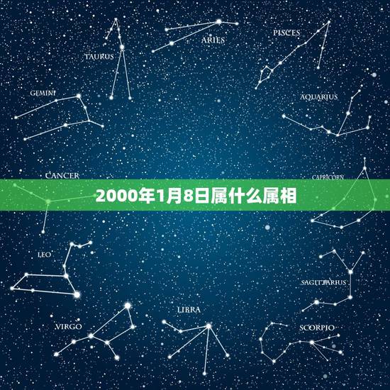 2000年1月8日属什么属相，2000年属什么生肖？
