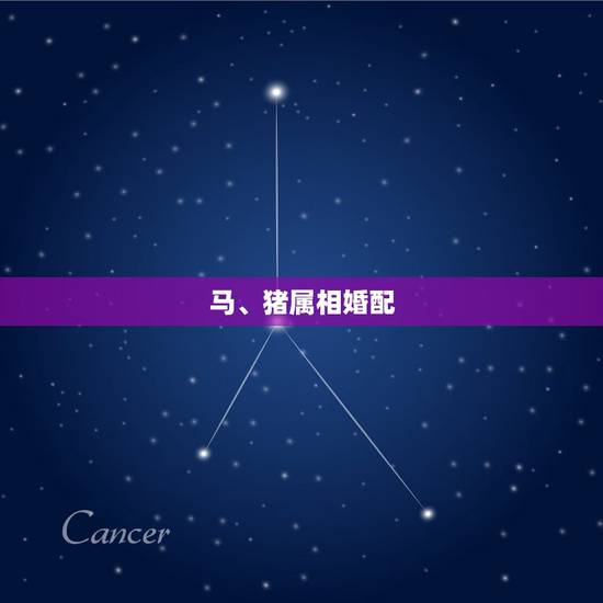 马、猪属相婚配?属马的跟属猪的相配吗,适合结婚做夫妻吗? 马、猪属相婚配?属马的跟属猪的相配吗,适合结婚做夫妻吗?