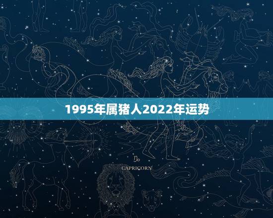 1995年属猪人2022年运势,1995年属猪在2022年怎么样 1995年属猪人2022年运势,1995年属猪在2022年怎么样