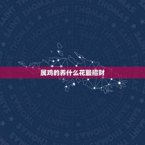 属鸡的养什么花最招财,属鸡的养什么植物好 属鸡的养什么花最招财,属鸡的养什么植物好