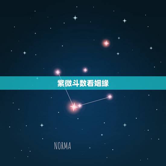 紫微斗数看姻缘，紫微斗数看婚姻男女合盘 答得详细加分！谢谢