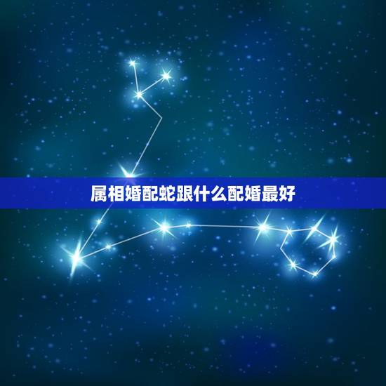 属相婚配蛇跟什么配婚最好，属蛇的和什么属相最配，属蛇的配什么生肖最好