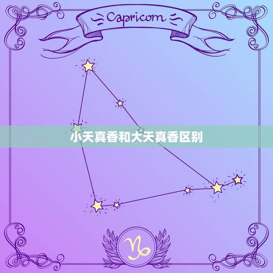 小天真香和大天真香区别，今天烧香香头是小天真，好吗