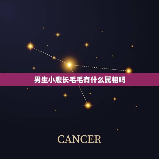 男生小腹长毛毛有什么属相吗,男人肚子上长毛好不好 男生小腹长毛毛有什么属相吗,男人肚子上长毛好不好