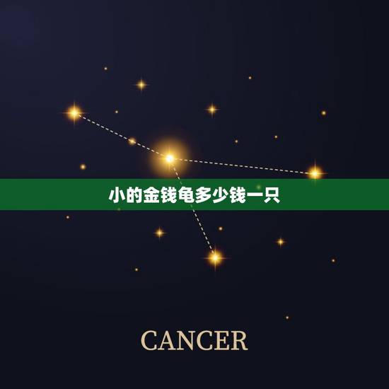 小的金钱龟多少钱一只,请问一只成年金钱龟多少钱一只? 小的金钱龟多少钱一只,请问一只成年金钱龟多少钱一只?