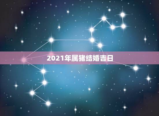 2021年属猪结婚吉日,属猪男和属狗女2021结婚吉日? 2021年属猪结婚吉日,属猪男和属狗女2021结婚吉日?