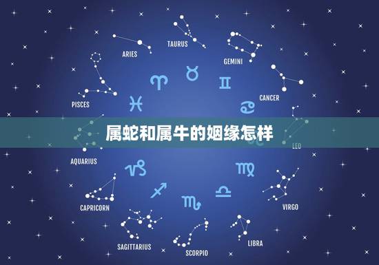 属蛇和属牛的姻缘怎样，为什么属蛇和属牛很好