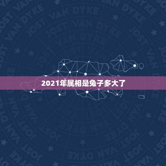 2021年属相是兔子多大了，属兔子的2021年今年多大