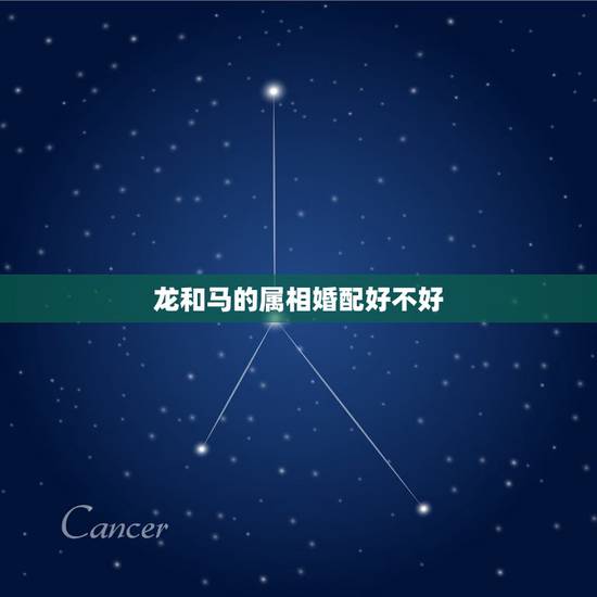 龙和马的属相婚配好不好,属龙男和属马女配对好吗 龙和马的属相婚配好不好,属龙男和属马女配对好吗