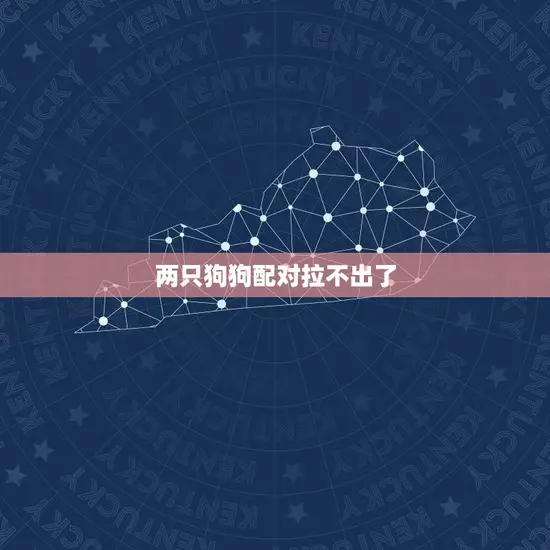两只狗狗配对拉不出了