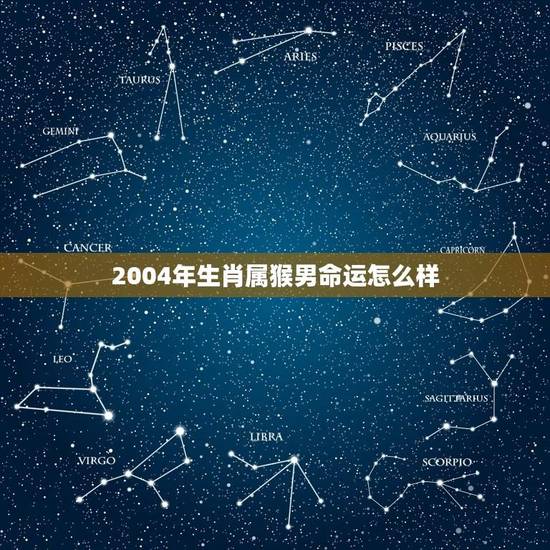 2004年生肖属猴男命运怎么样(介绍猴年生肖男的运势) 2004年生肖属猴男命运怎么样(介绍猴年生肖男的运势)