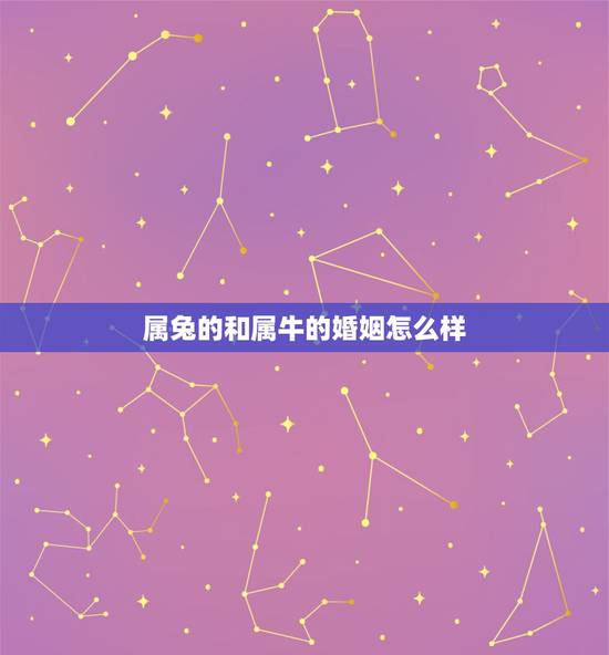 属兔的和属牛的婚姻怎么样，配吗？女属兔男属牛的婚姻怎样