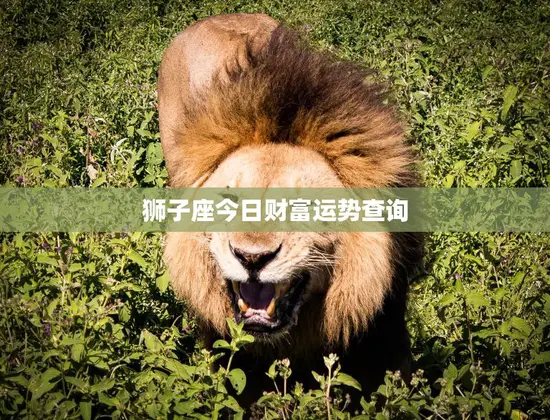 狮子座今日财富运势查询(财运亨通财源滚滚来)