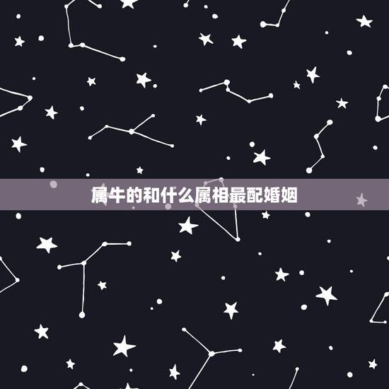 属牛的和什么属相最配婚姻,属牛的婚姻配对更佳 属牛的和什么属相最配婚姻,属牛的婚姻配对更佳