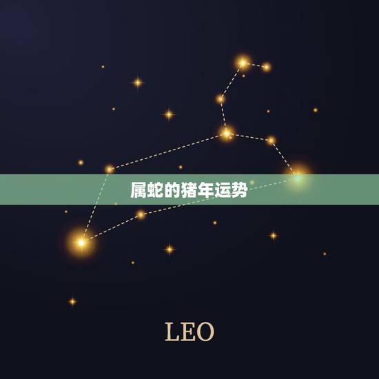 属蛇的猪年运势，十二生肖的贵人属相