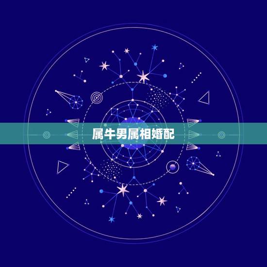 属牛男属相婚配，属牛的和什么属相最相配 12属相婚配表