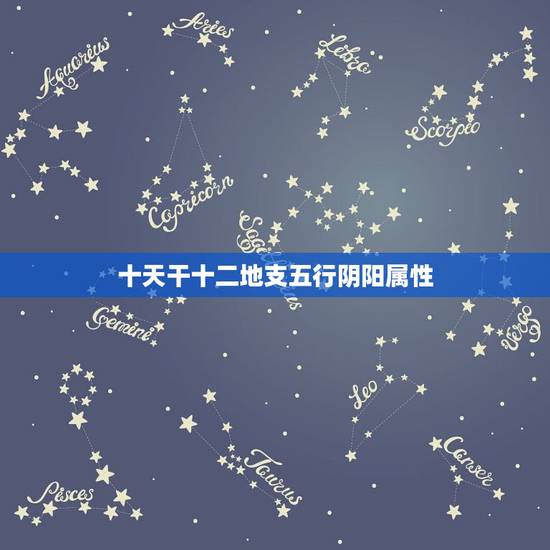 十天干十二地支五行阴阳属性,十二地支所属五行 十天干十二地支五行阴阳属性,十二地支所属五行