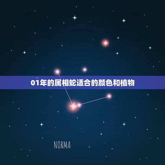 01年的属相蛇适合的颜色和植物，属蛇的人旺财的植物是？