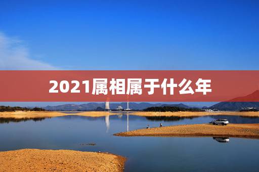 2021属相属于什么年,2021年正月十六是属什么 2021属相属于什么年,2021年正月十六是属什么