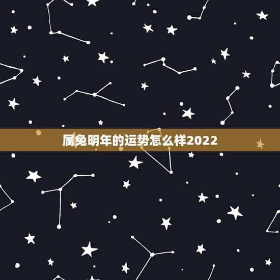 属兔明年的运势怎么样2022，生肖兔今年运势怎么样