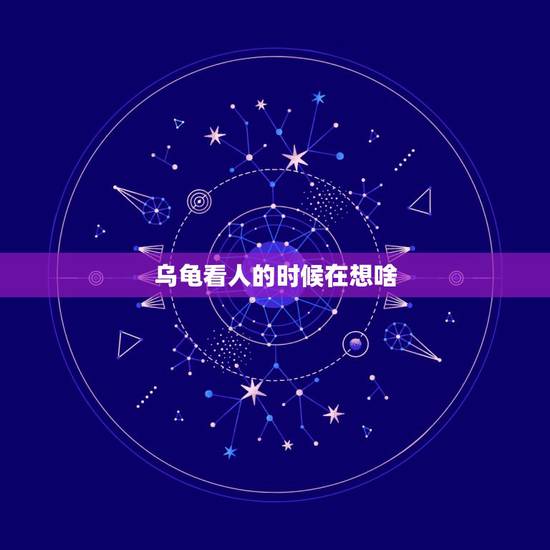 乌龟看人的时候在想啥，乌龟认人吗？