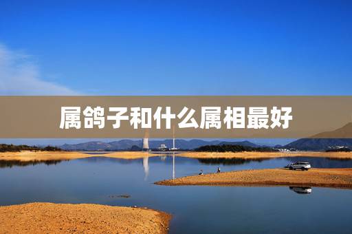 属鸽子和什么属相最好,鸽子,是十二生肖的哪一动物? 属鸽子和什么属相最好,鸽子,是十二生肖的哪一动物?