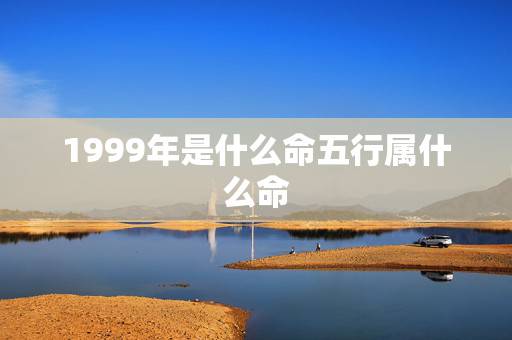 1999年是什么命五行属什么命，1995年是什么命五行