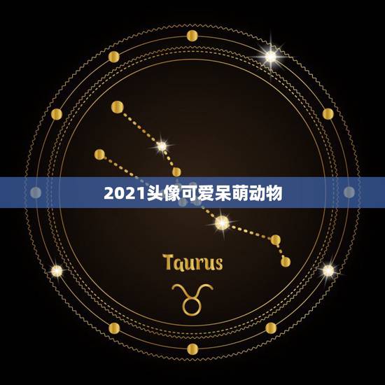 2021头像可爱呆萌动物，呆萌可爱的七种动物，你见过几种